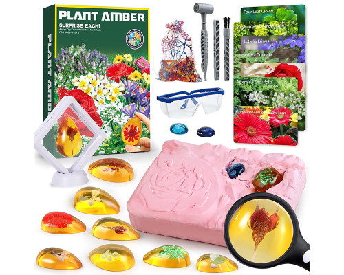 Археологічний набір для розкопок PLANT AMBER рослини 8 шт для дітей STEM